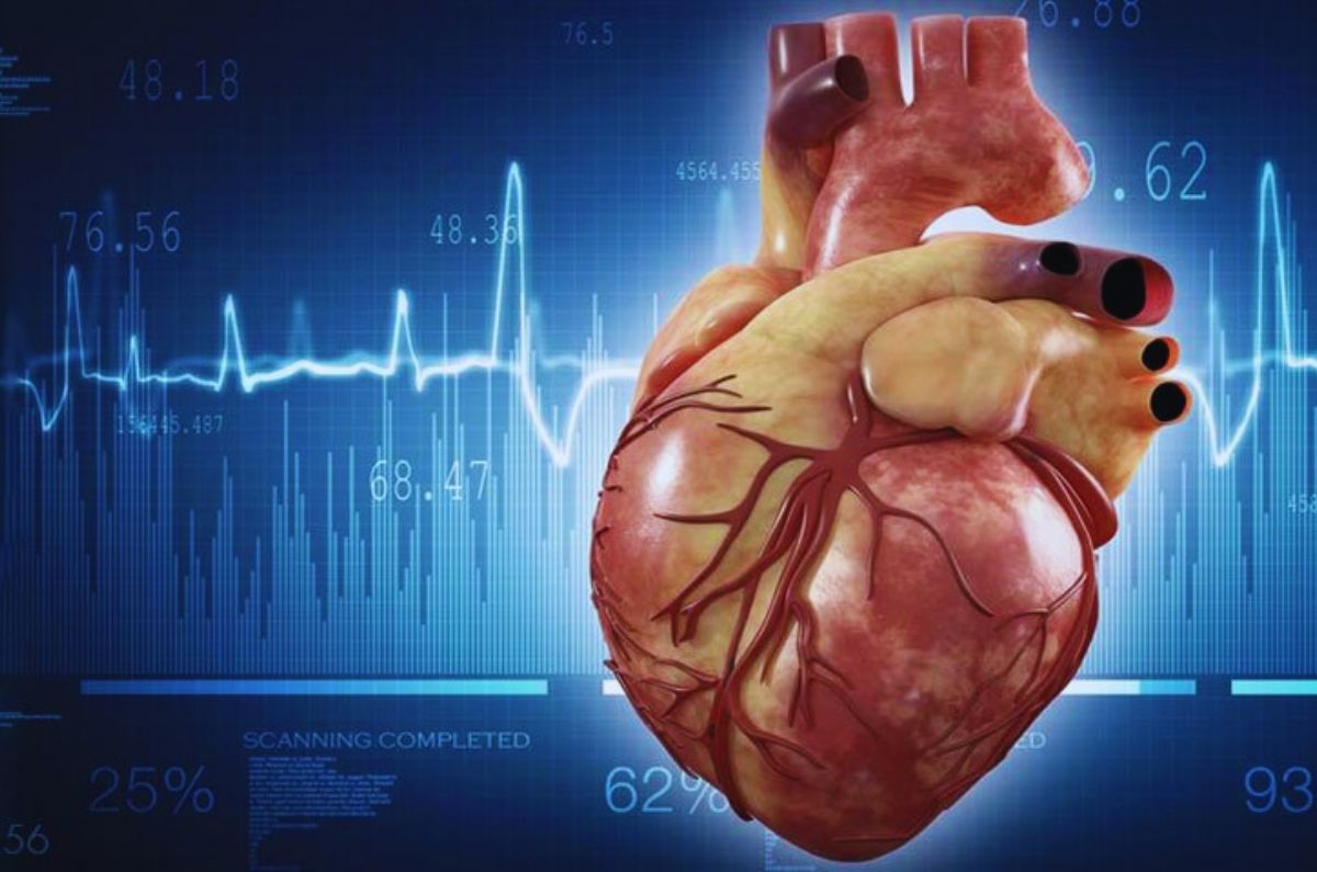 Endocarditis y la batalla contra las bacterias en el corazón