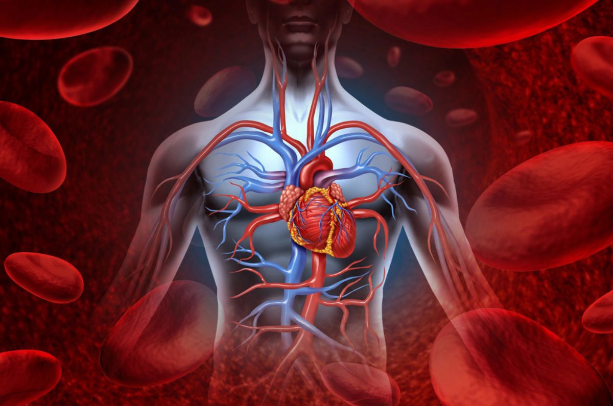 Conoce las enfermedades cardiovasculares más comunes