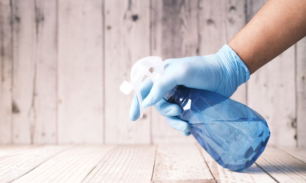 Elimina las plagas en el hogar con una fumigación efectiva