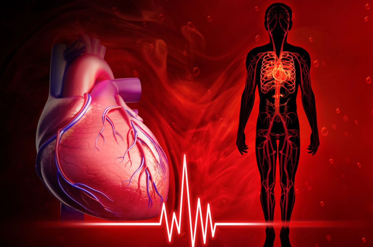 La insuficiencia cardiaca y cómo afrontarla