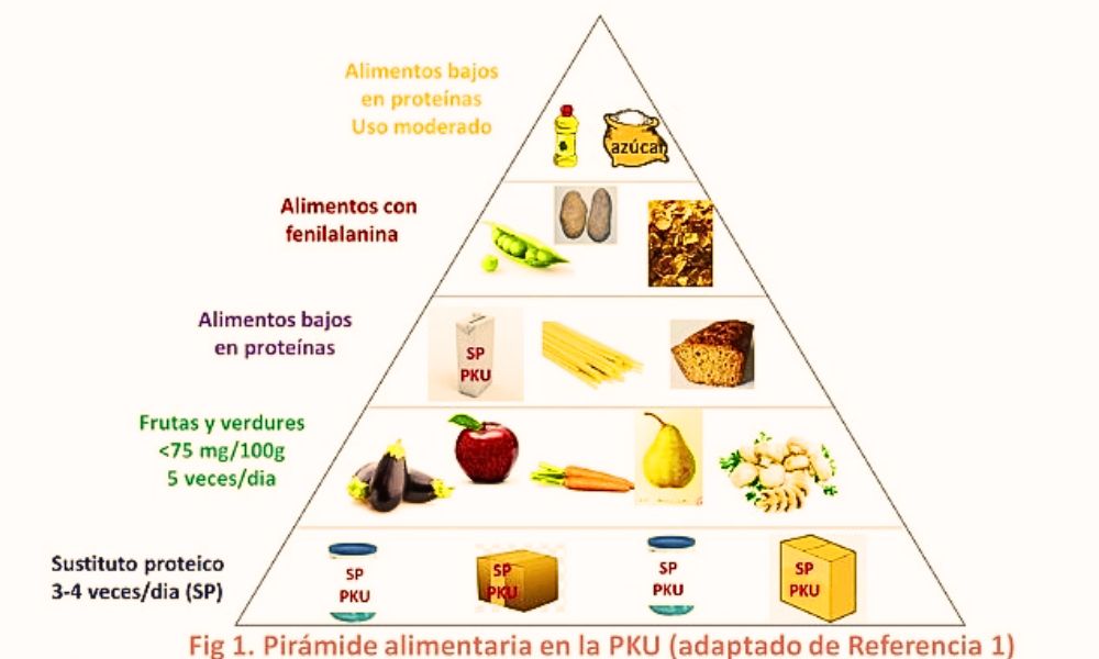 Pirámide alimentaria para PKU