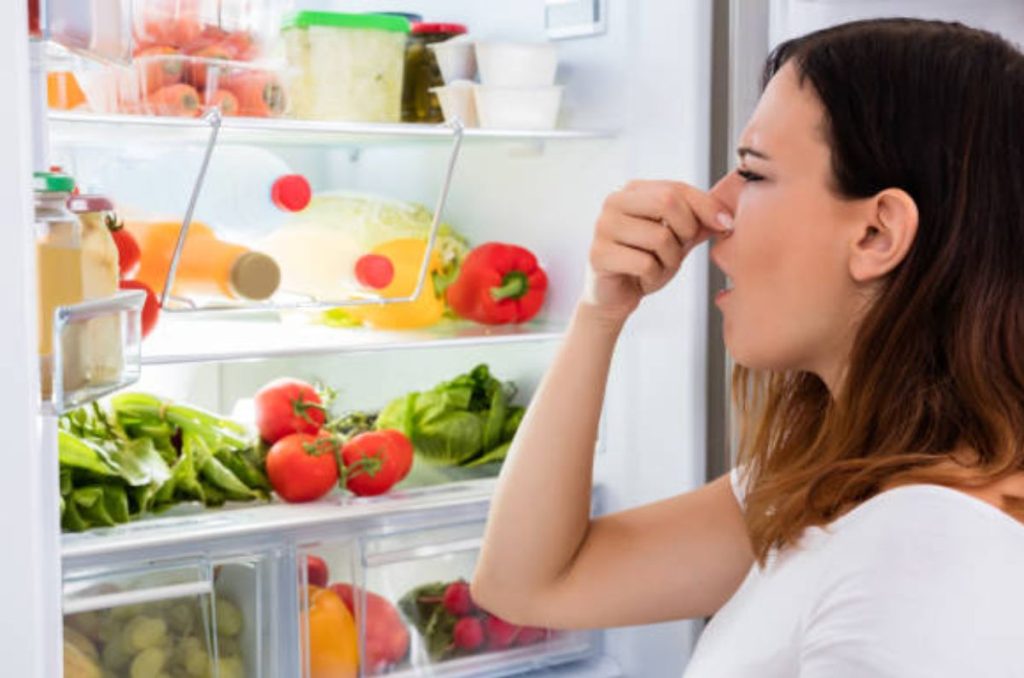 ¡Que tu refrigerador no te de problemas! Este es el botón secreto que tiene tu refrigerador y que te ayudará a evitar malos olores.