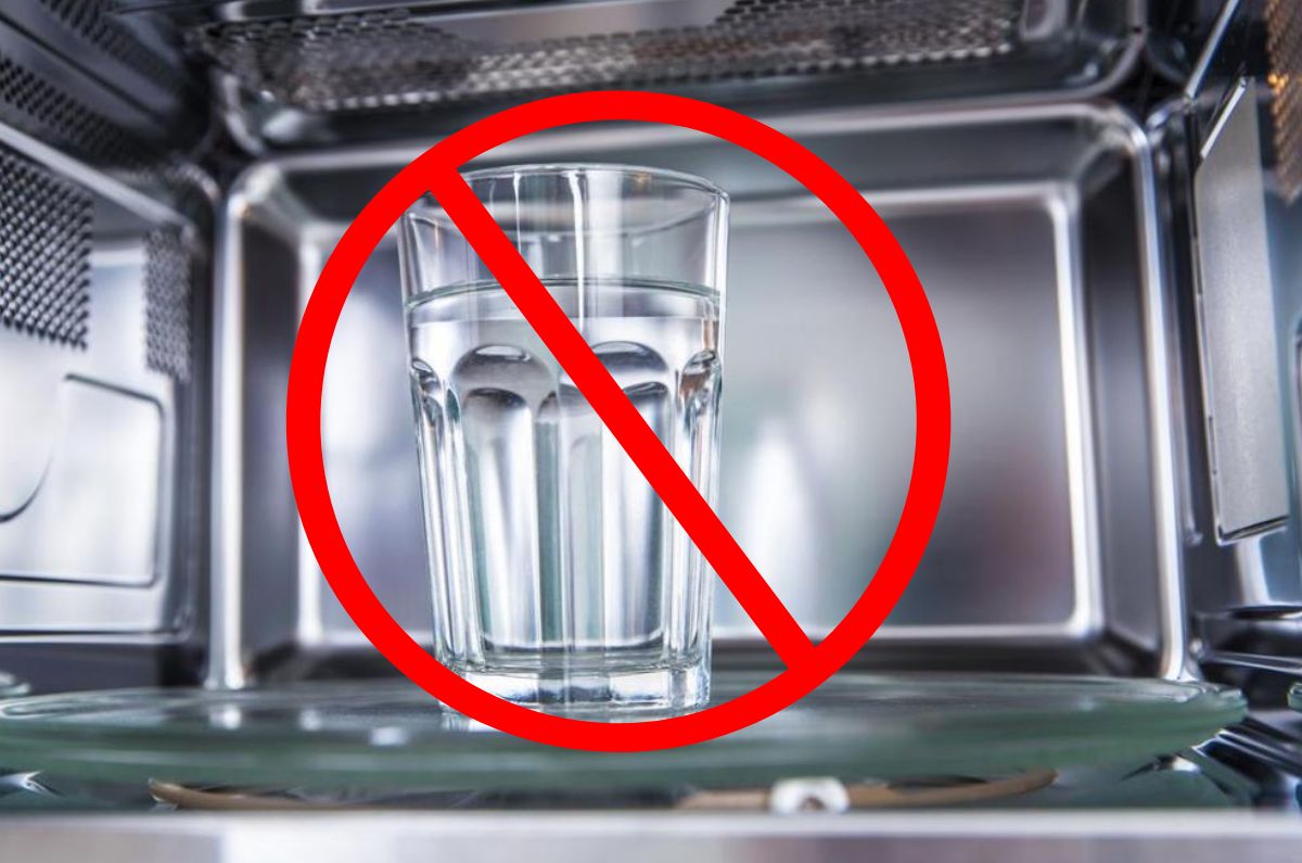 ¿Por qué NO debes CALENTAR agua en el microondas?
