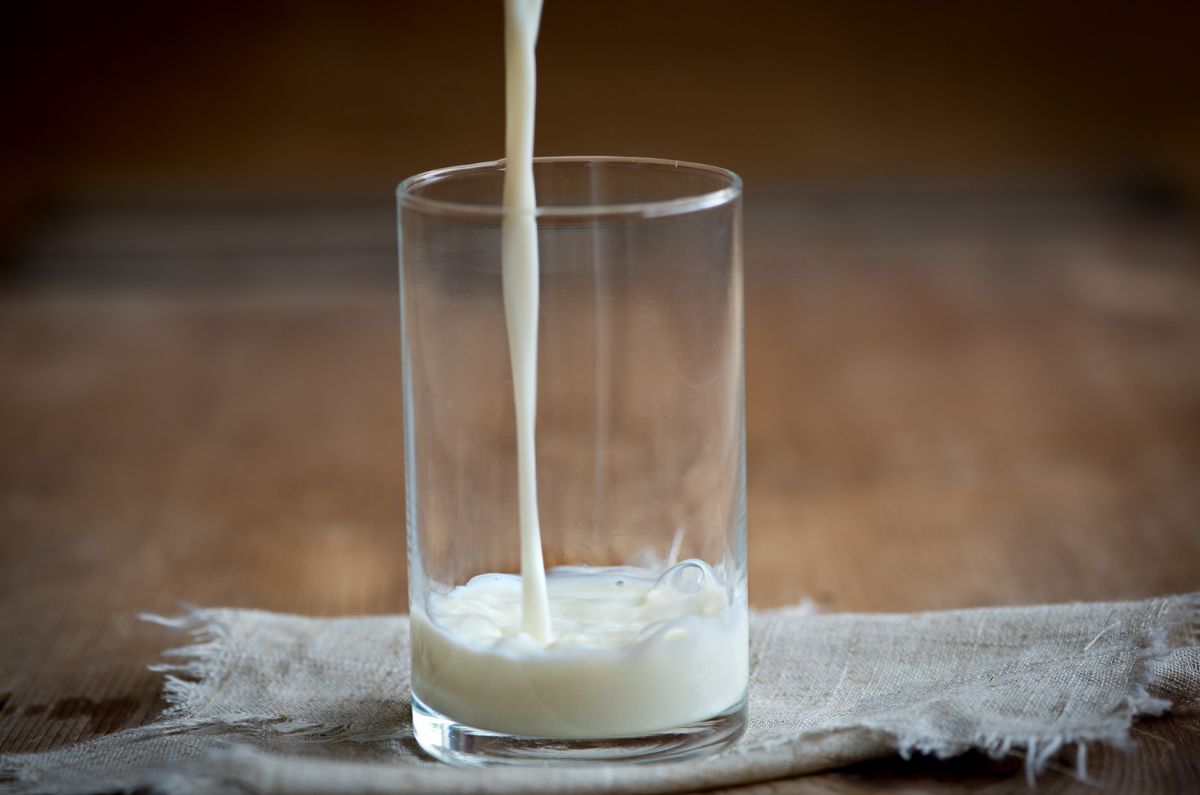 Descubre las marcas de leche 100% de vaca, según Profeco