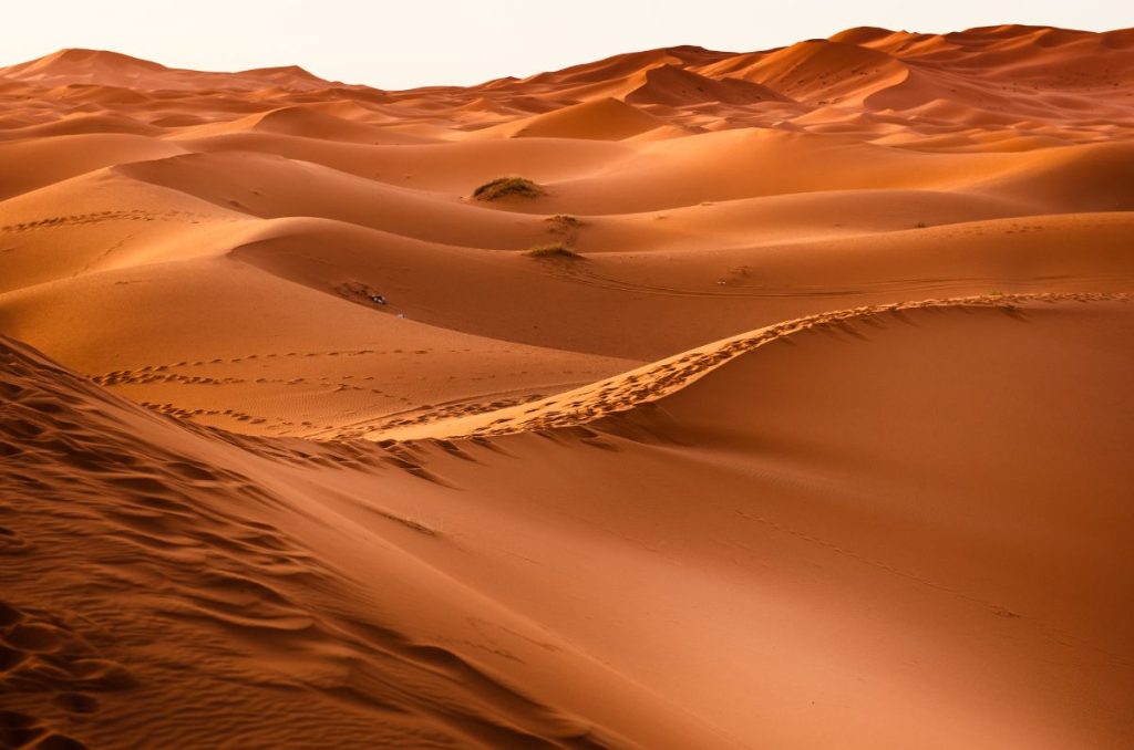 A continuación te damos a conocer todos los detalles del Polvo del Sahara y cuándo podría llegar a México en 2024. Toma nota.