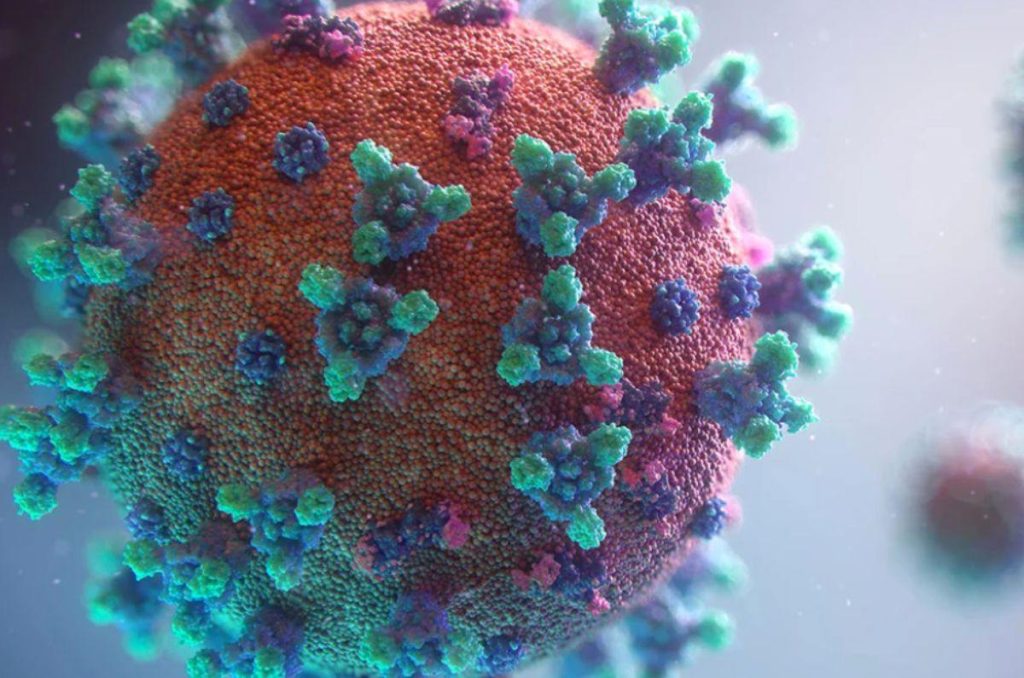 Este virus es altamente contagioso y posee una tasa de mortalidad de 80 por ciento en los pacientes. Conoce más sobre el mortal virus B.