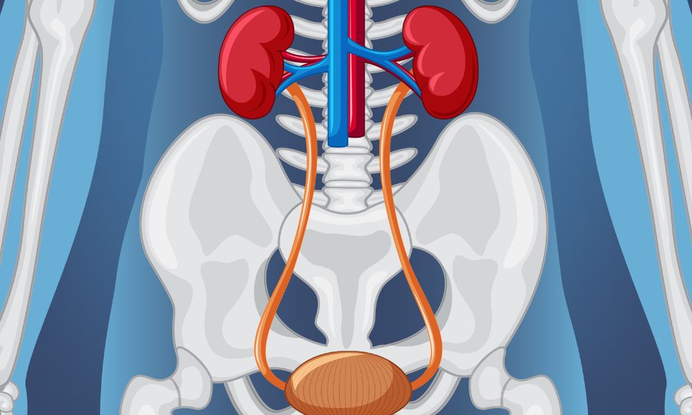 Insuficiencia renal