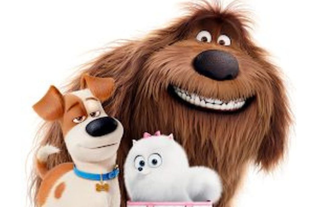 La vida secreta de tus mascotas