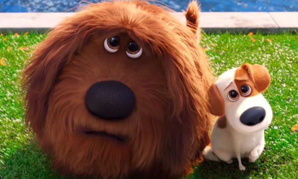 La vida secreta de tus mascotas película