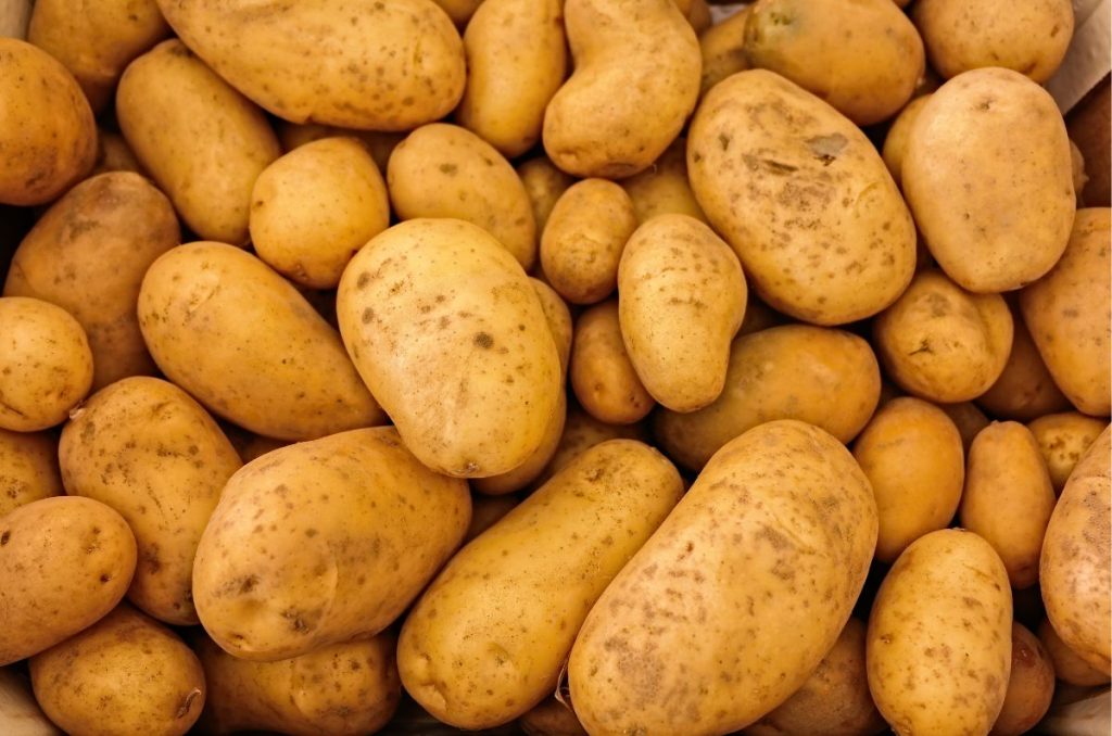 Desde mejorar la digestión hasta apoyar la regulación del azúcar en sangre, conoce los beneficios de las papas para la salud.