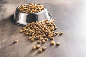 Las croquetas mexicanas para perro con más proteína, según Profeco