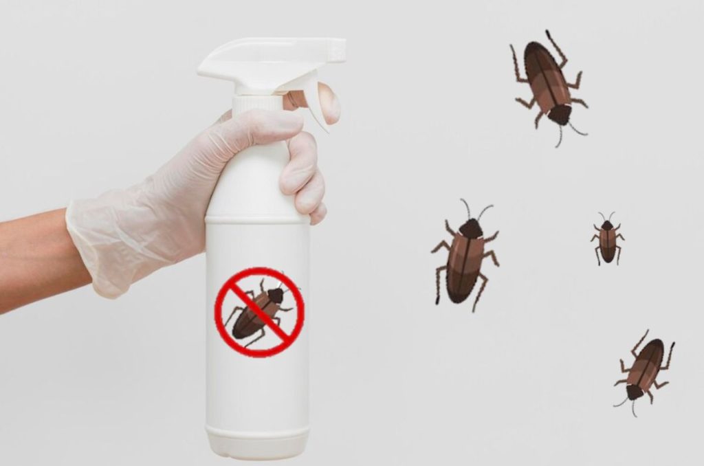 Libérate de las cucarachas de tu hogar