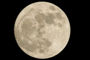 Luna de flores mayo 2024: ¿Cuándo y dónde verla?