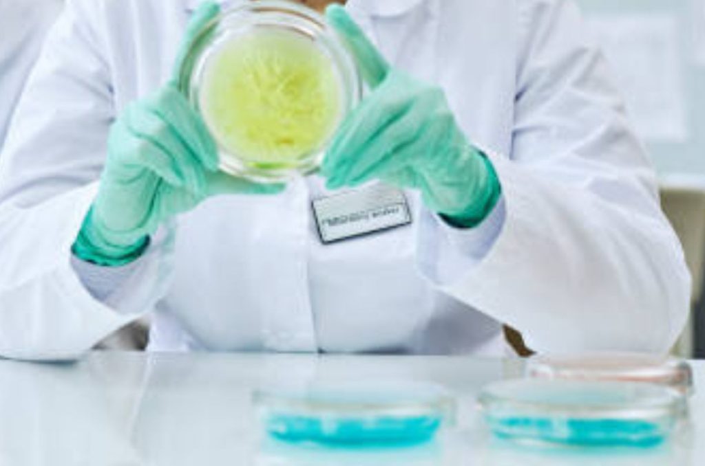 La OMS publicó una lista de 15 bacterias que considera una amenaza para la salud humana por su creciente resistencia a los antibióticos.