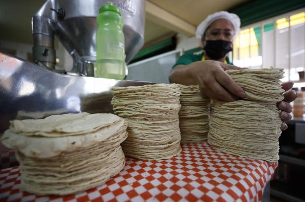 Precio de la tortilla continúa a la alza en México, kilo se cotiza hasta en 31 pesos en ciertas regiones del país.