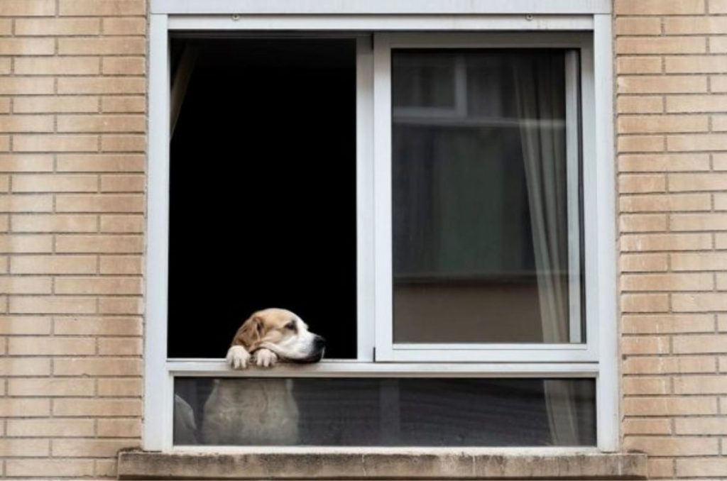 ¡Ahorra en aire acondicionado! Así son las nuevas ventanas que reducen el CALOR y se limpian solas. Conócelas.