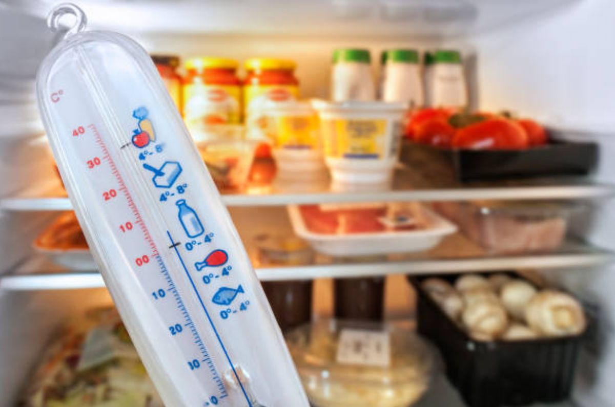 Conoce el mejor truco para que tu refrigerador enfríe mejor con este calor