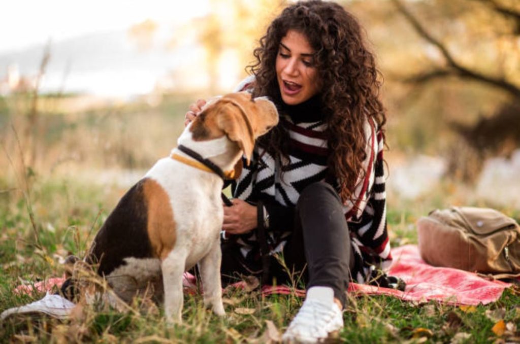 Investigadores mexicanos del INAOE con la Universidad de Michigan investigan herramientas IA para que los humanos puedan hablar con su perro.