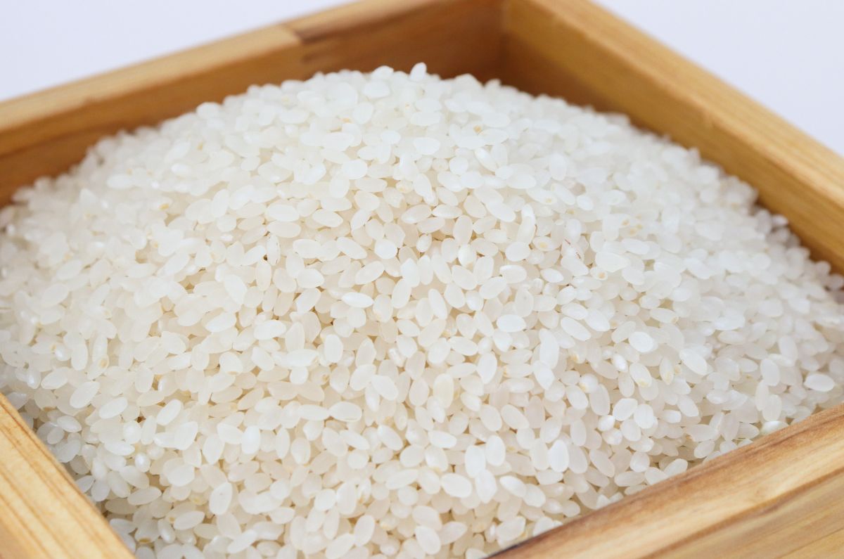 Las marcas de arroz más baratas y sin impurezas, según Profeco