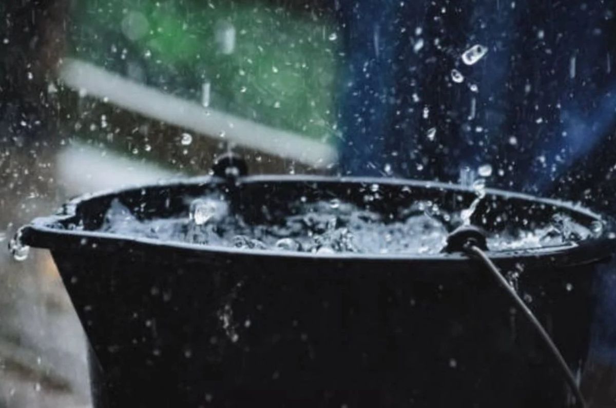 ¿Es peligroso tomar o cocinar con agua de lluvia? Esto dicen los expertos