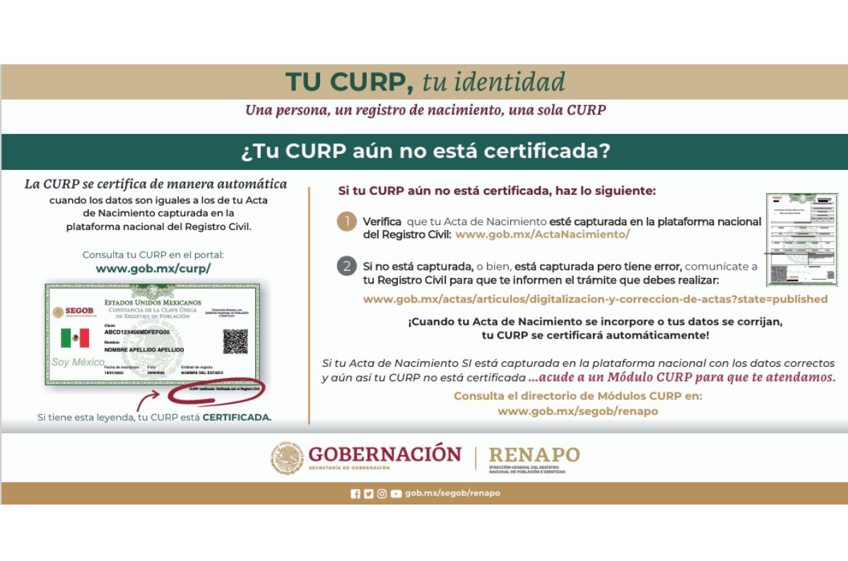 CURP 2025: así puedes descargarla GRATIS desde tu celular o computadora