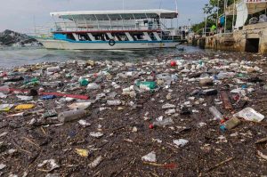 Ojo: Estos son los estados con las playas más contaminadas de México