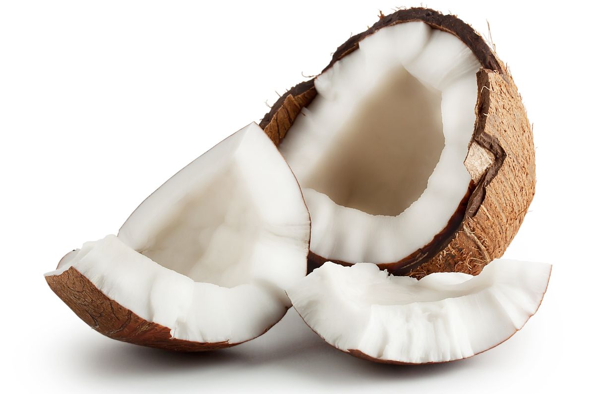 Beneficios y propiedades del coco que deberías conocer