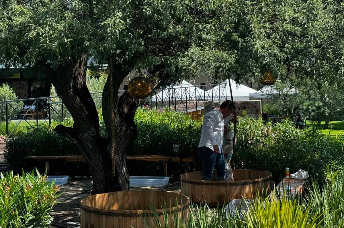 Así celebró Puertas de la Peña su segunda Vendimia, con música, gastronomía y vino.