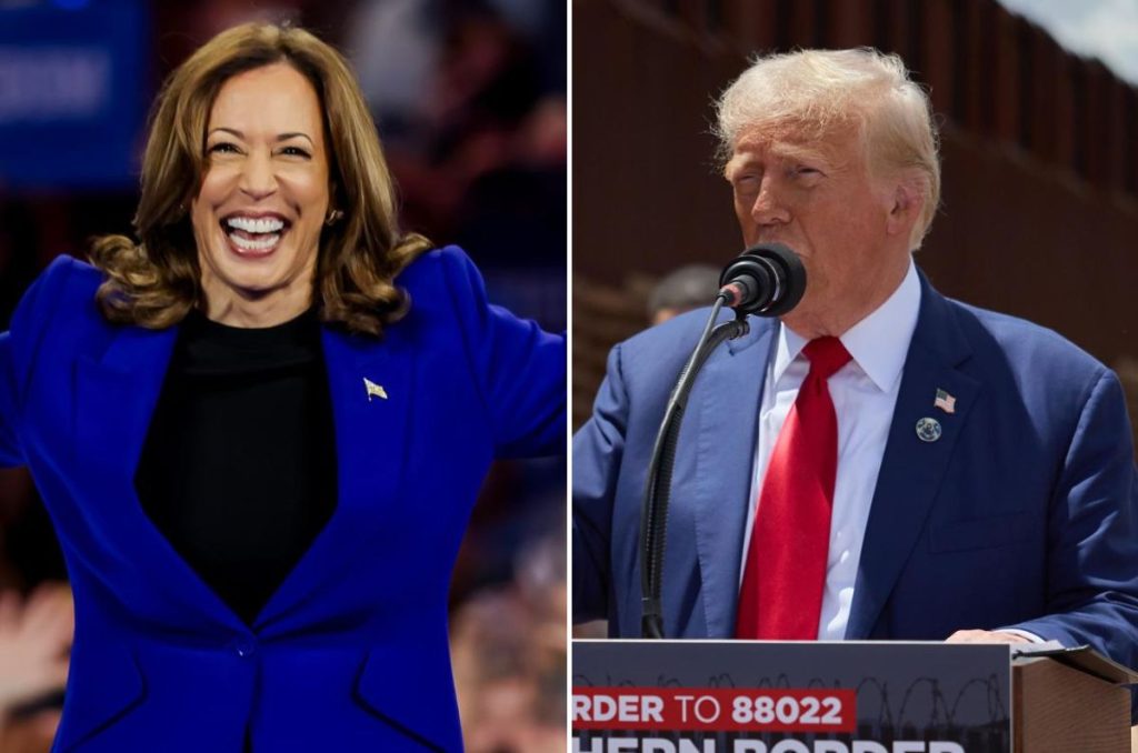 Aunque Estados Unidos se rige a través de un sistema bipartidario existen más partidos políticos. Descubre por qué la facción demócrata y republicana son las únicas que reciben atención.