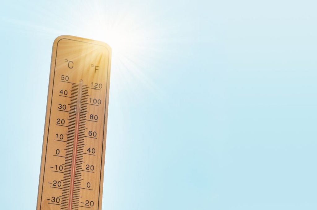La OMM confirmó este martes que el pasado 22 de julio se convirtió en el día más caluroso en la Tierra desde que se tienen registros.