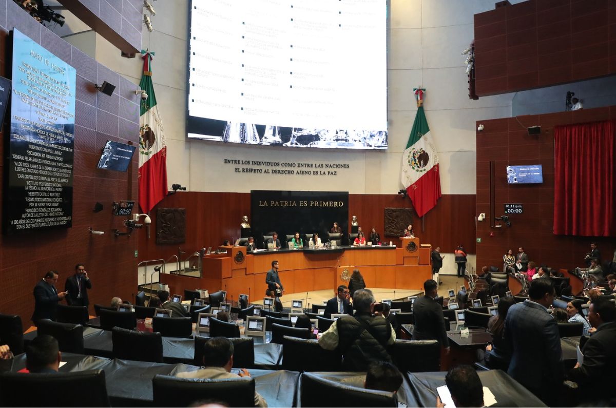 Tribunal Electoral perfila mayoría calificada de Morena en Congreso