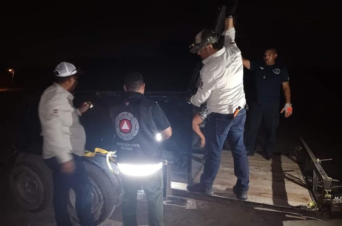 de-terror-tigre-escapa-de-zoologico-de-reynosa-autoridades-intensifican-busqueda-1