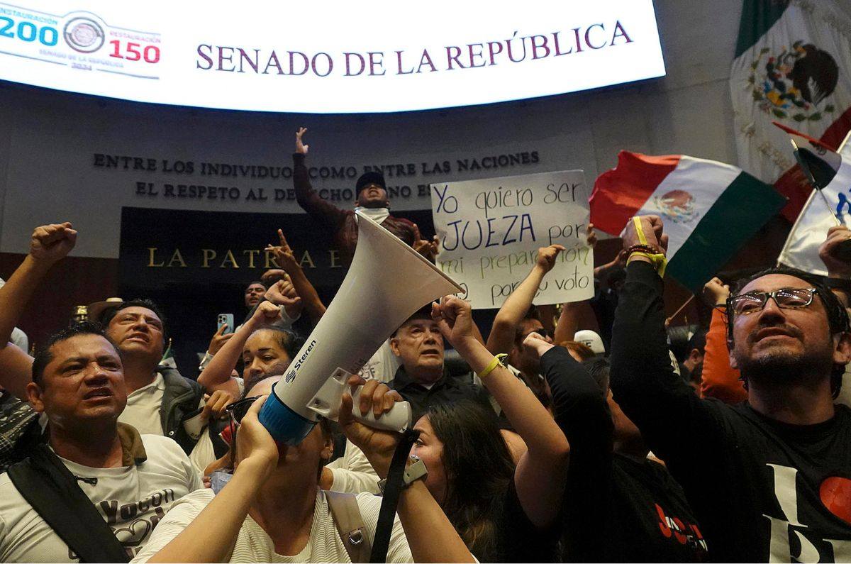 Un grupo de manifestantes irrumpieron este martes, entre agresiones, en el Senado para intentar frenar la inminente aprobación. / EFE