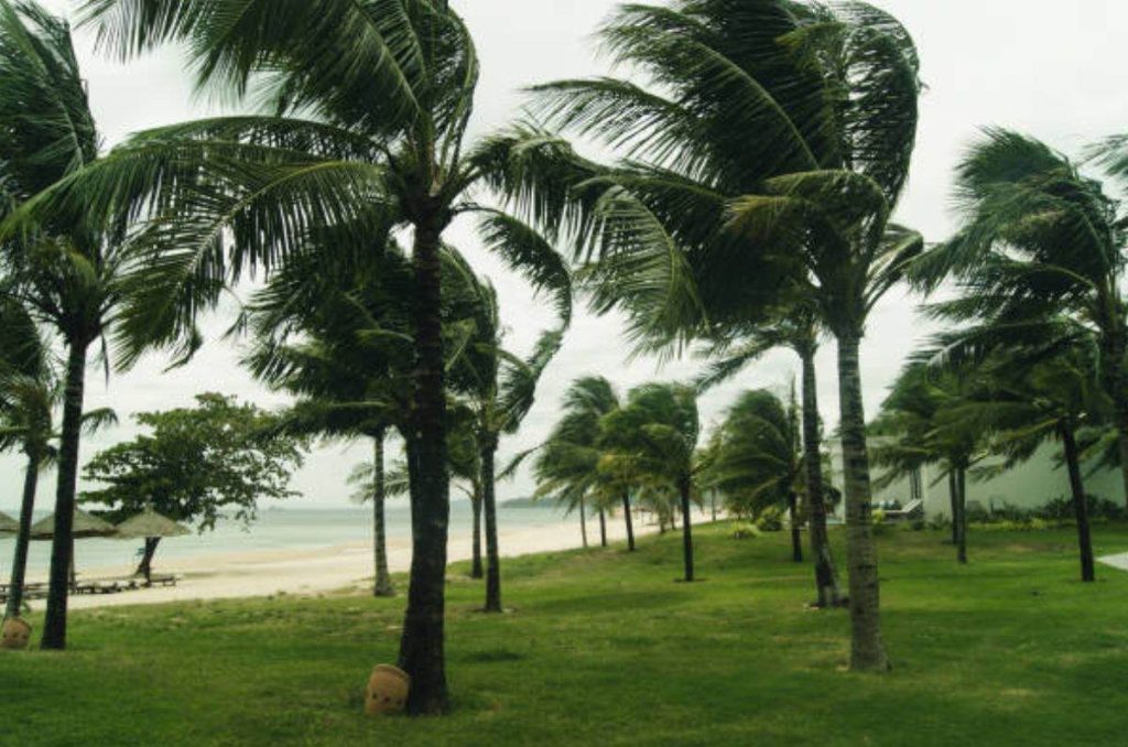 La Tormenta Tropical John se intensifica a huracán, alertan al menos a cinco estados de México por potencial impacto en las próximas horas.