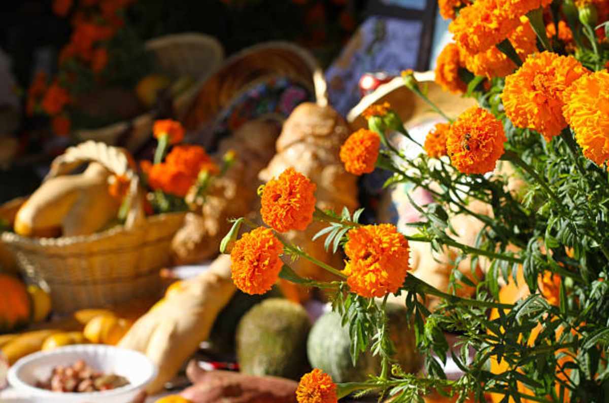 Esto pasa si olvidas la ofrenda de Día de Muertos: la leyenda que debes conocer