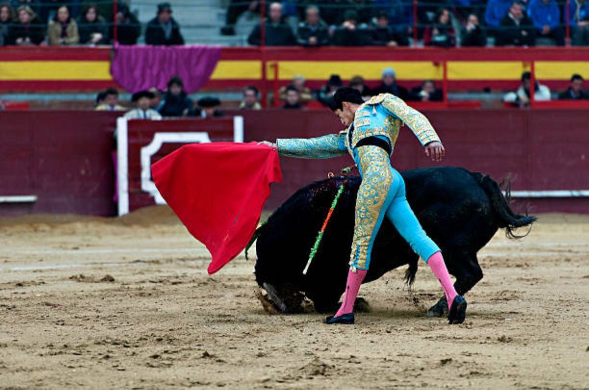 ¿Fin a las corridas de toros? Sheinbaum promete revisar la práctica en México con NUEVA reforma