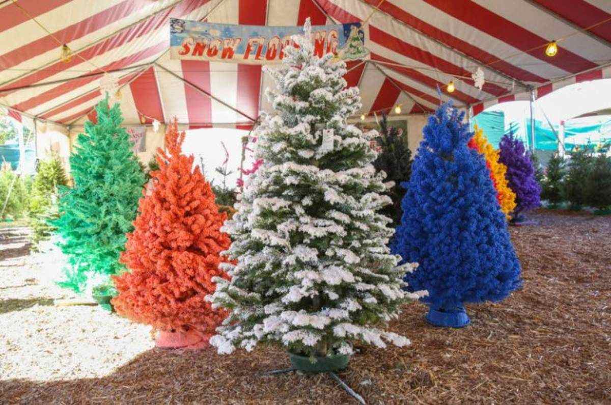 Dale un nuevo look a tu árbol de Navidad: cambia su color con estos trucos