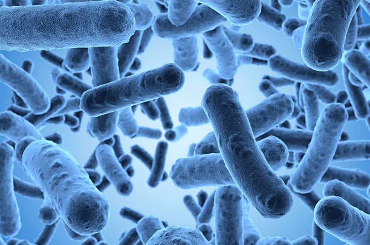 Edomex emite ALERTA epidemiológica: ¿qué es la bacteria Klebsiella oxytoca y cómo afecta?