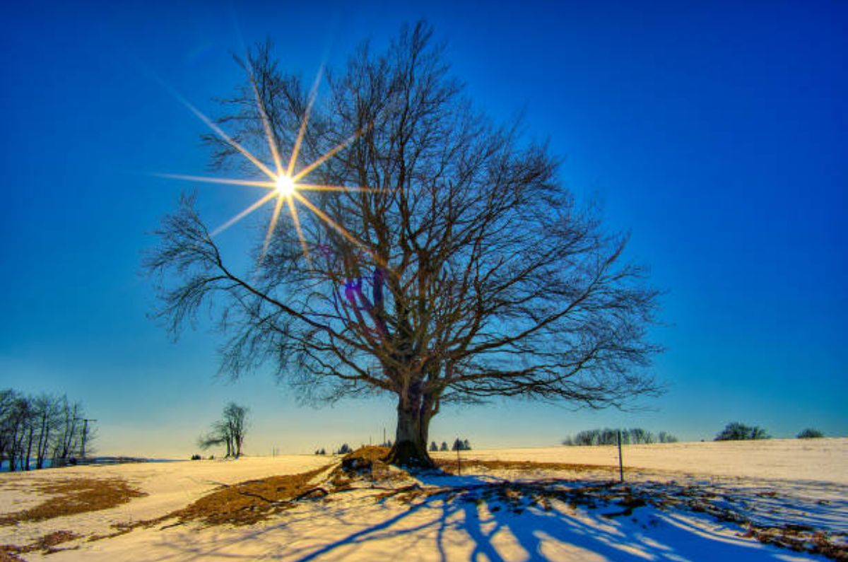 Fecha y hora del solsticio de invierno 2024: el día más corto del año