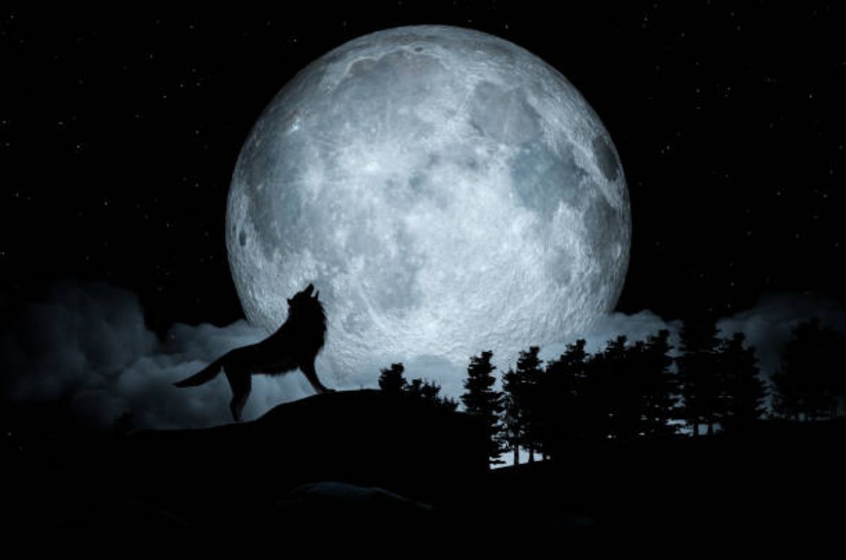 ¿Cuándo y cómo ver la Luna de Lobo 2025 en México? Todos los detalles