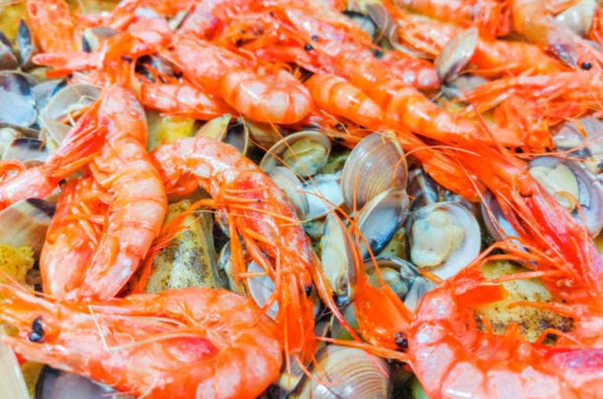 La ONU alerta: ¿los mariscos que consumimos contienen microplásticos?