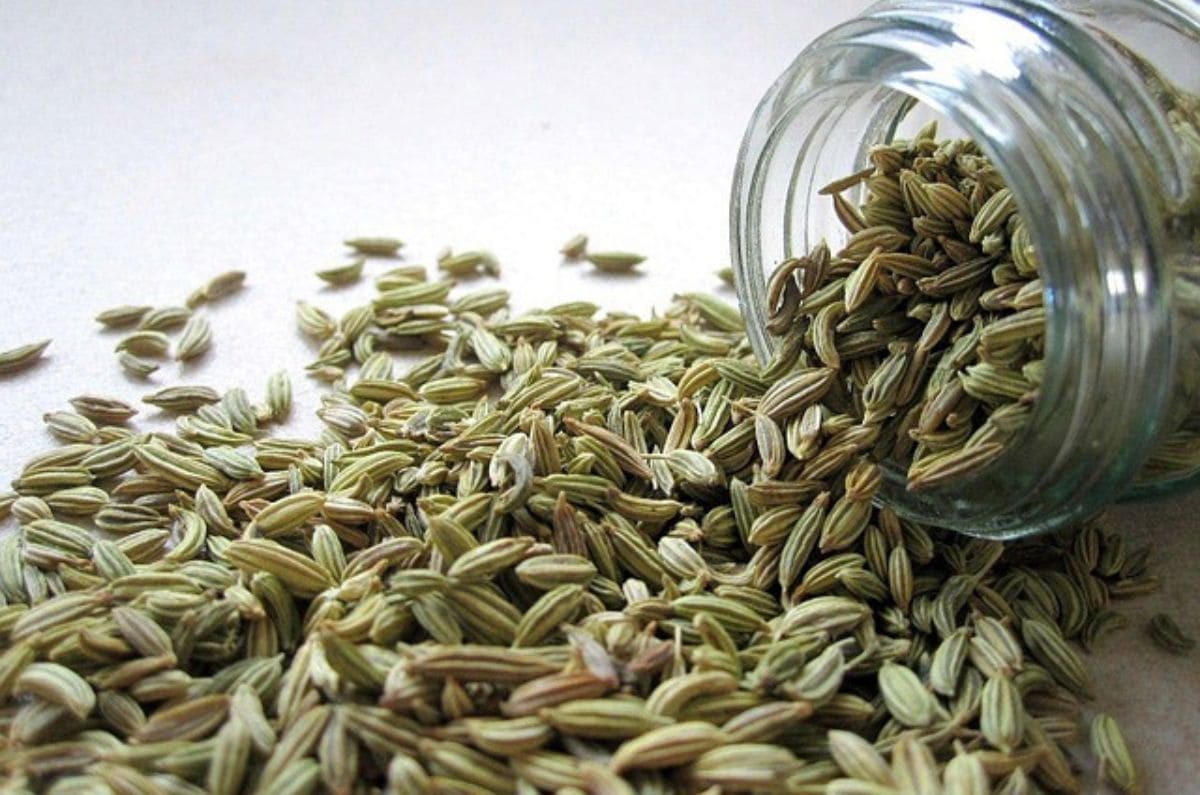 Aceites de semillas bajo la lupa: por qué no convienen al cocinar