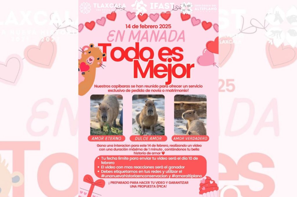 Zoológico del Altiplano regala cita el 14 de febrero