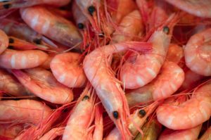 Ecuador vs. México: ¿quién tiene los mejores camarones y cuánto cuestan en cada país?