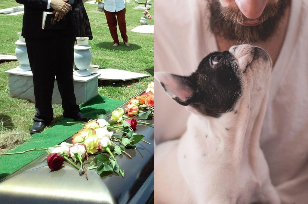 Descanso obligatorio por muerte de familiares y mascotas