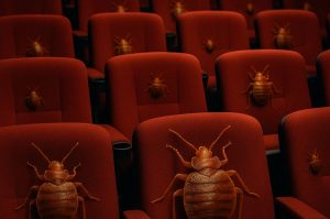 Cuidado al sentarte: así puedes detectar chinches en una sala de cine ANTES de que te piquen