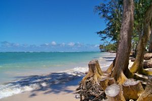 5 playas de Oaxaca que aún no se llenan de turistas y debes visitar este verano 2025