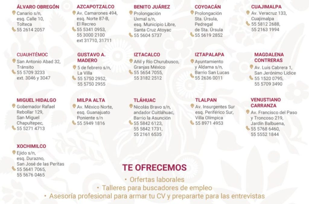 Modulos de empleo en CDMX