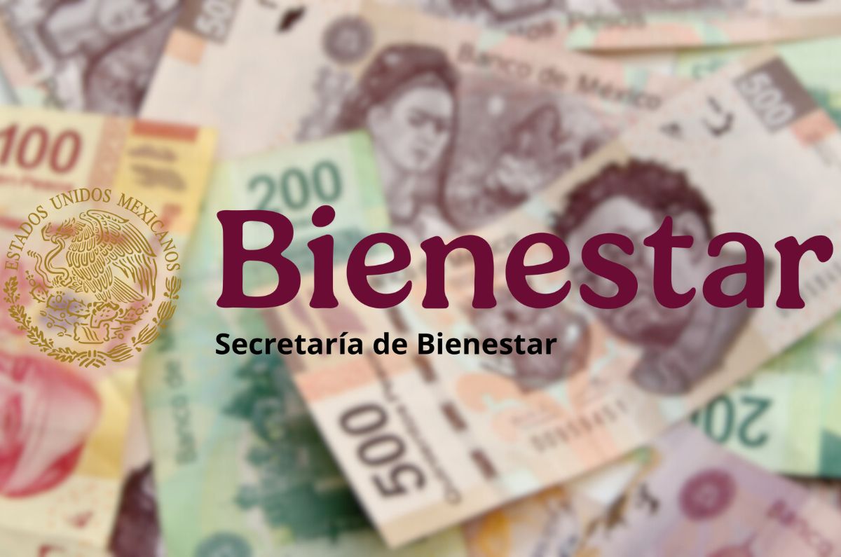 ¿Tienes alguno? Lista de todos los Programas para el Bienestar que pagan en junio
