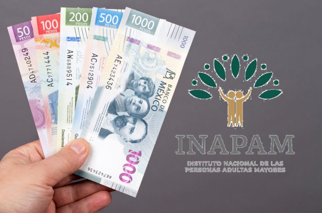 Credencial INAPAM para obtener la Pension Bienestar